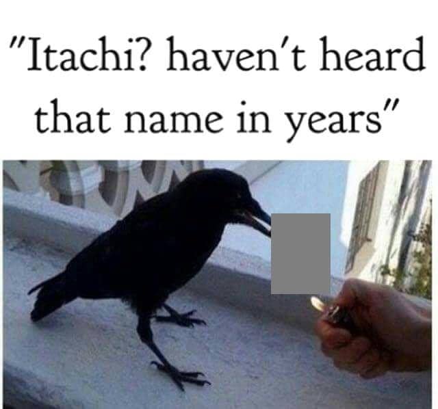 meme anime tentang burung gagak