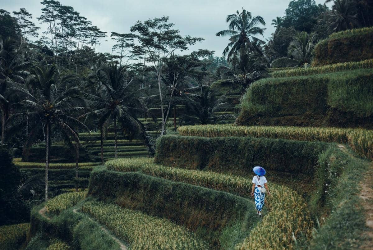 Alas Harum Ubud Bali