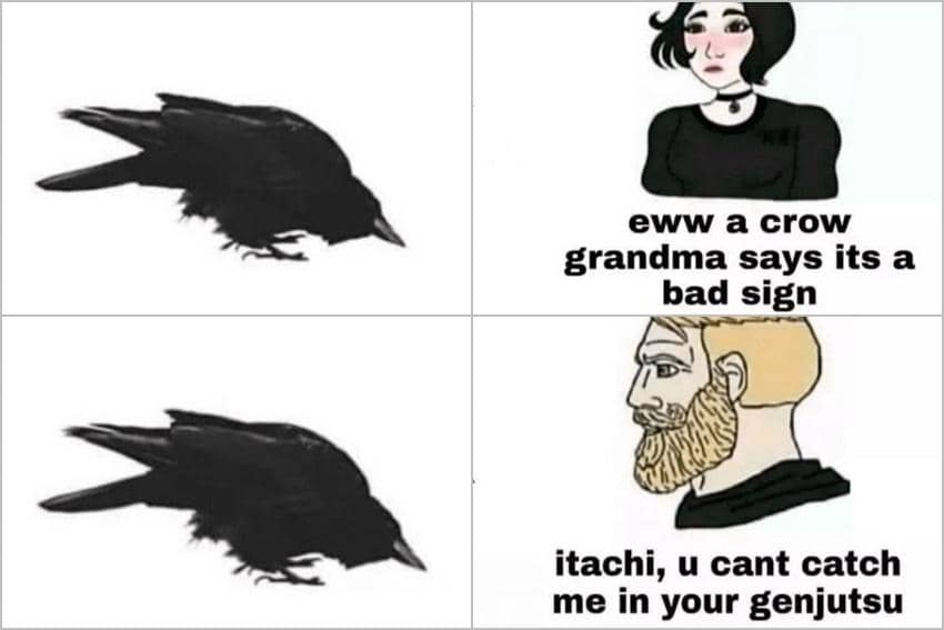 meme anime tentang burung gagak