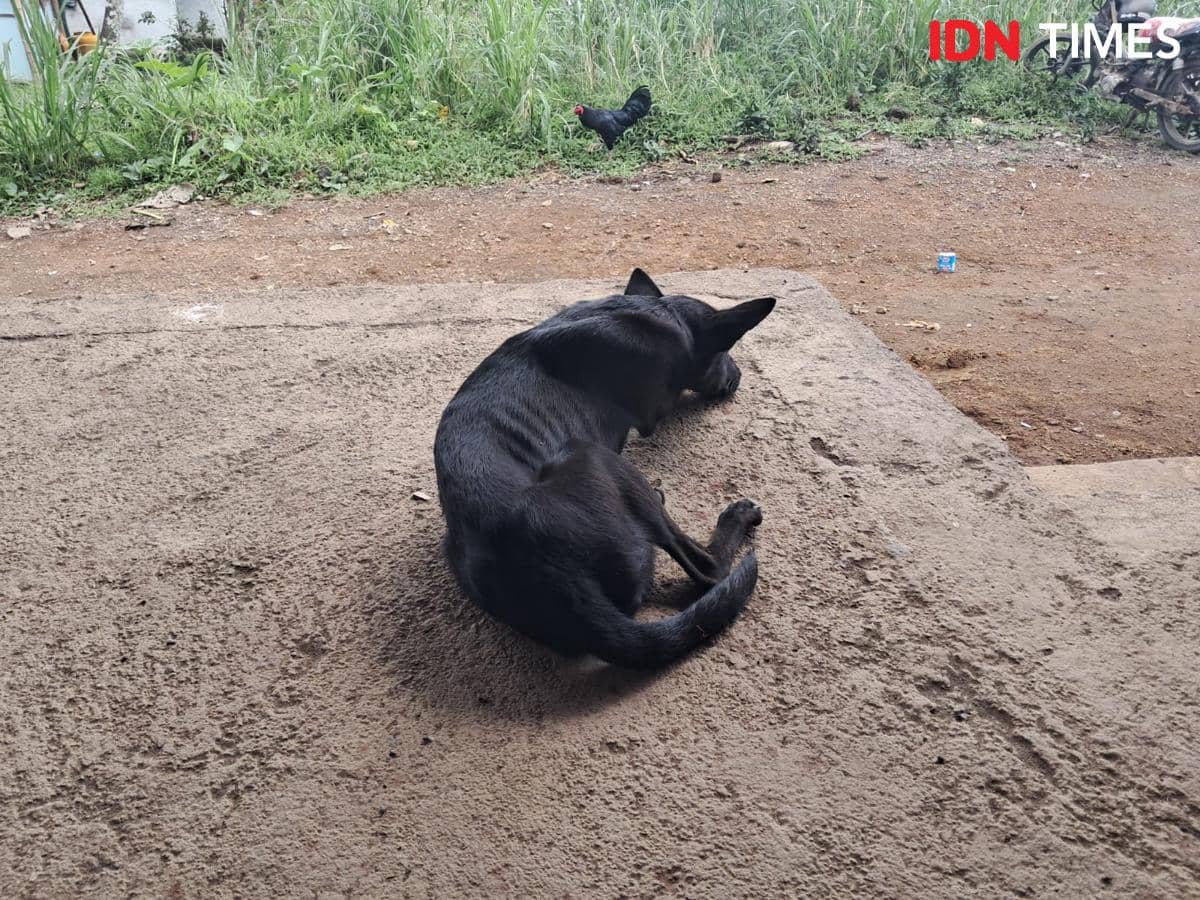 WhatsApp Image 2026-01-09 at 13.19.37.jpeg