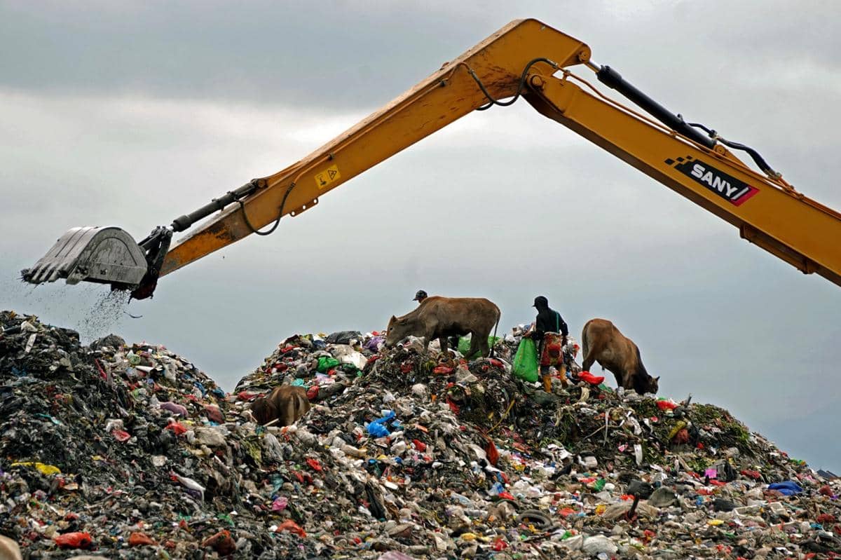 Ilustrasi pemulung memilah sampah di area Tempat Pembuangan Akhir (TPA). (ANTARA FOTO/Hasrul Said)