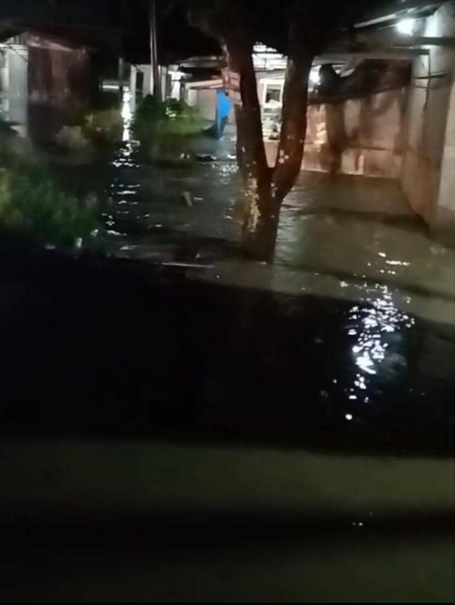 WhatsApp Image 2026-01-09 at 10.49.36.jpeg