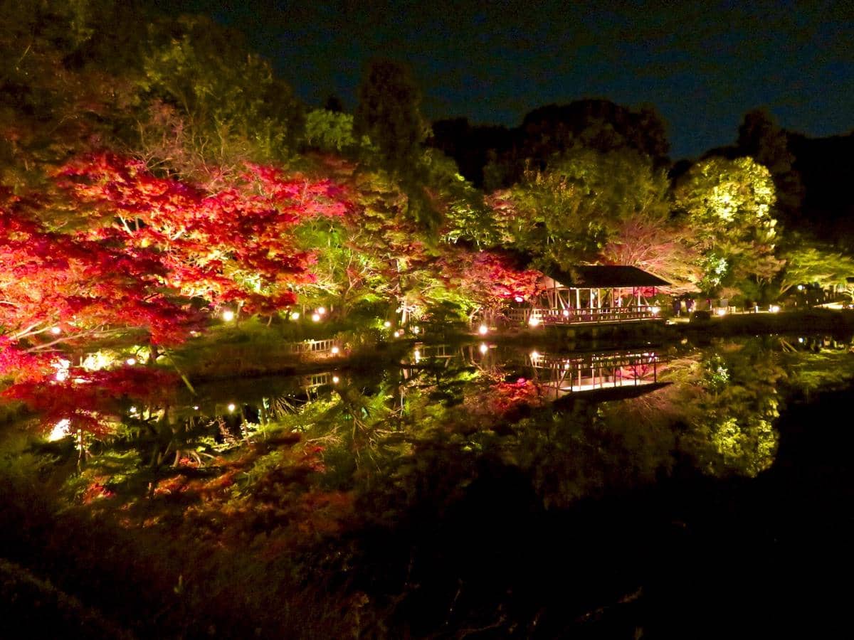 potret musim gugur di Higashiyama Botanical Gardens