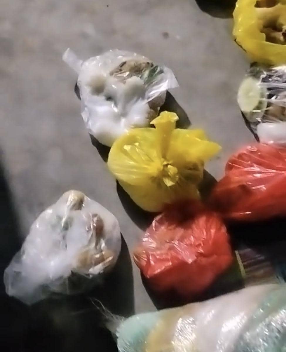 Distribusi MBG pakai plastik di Pandeglang