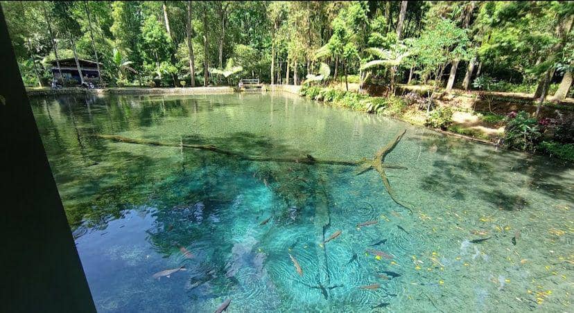 5 Fakta Menarik Telaga Rambut Monte di Blitar, Disebut Sarat Kisah Mistis!