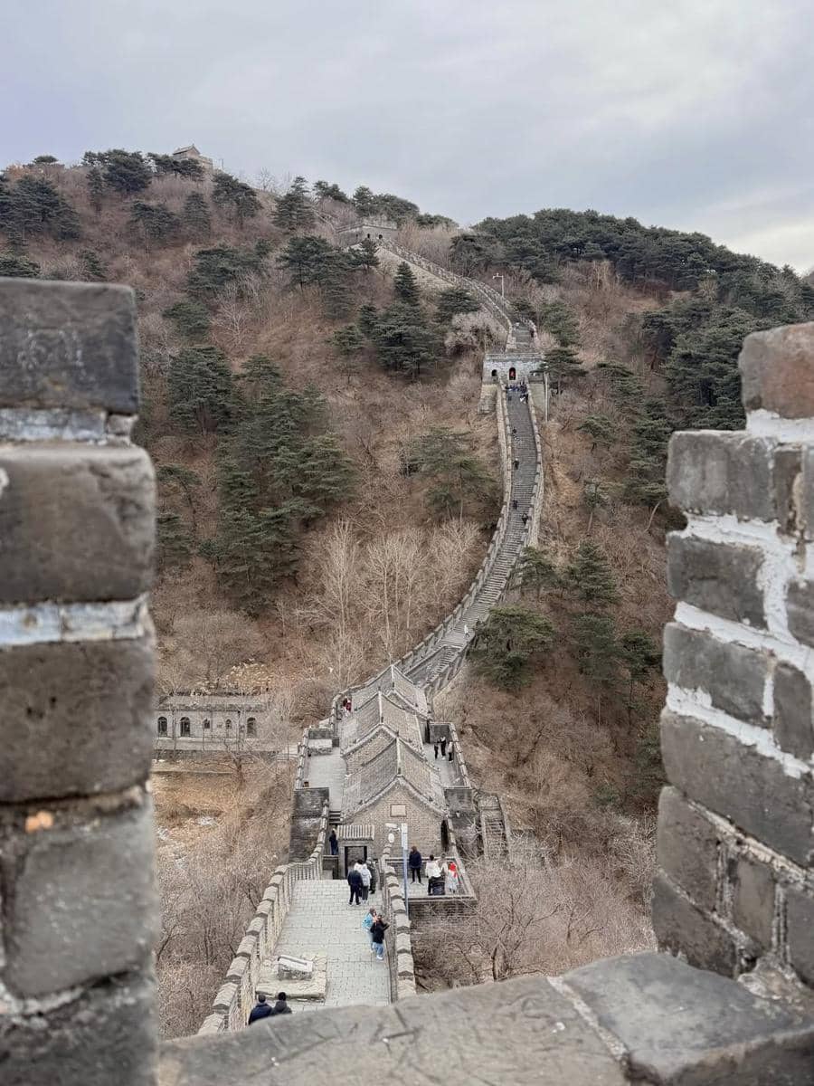 Keluarga Poppy Bunga jalan-jalan di Beijing