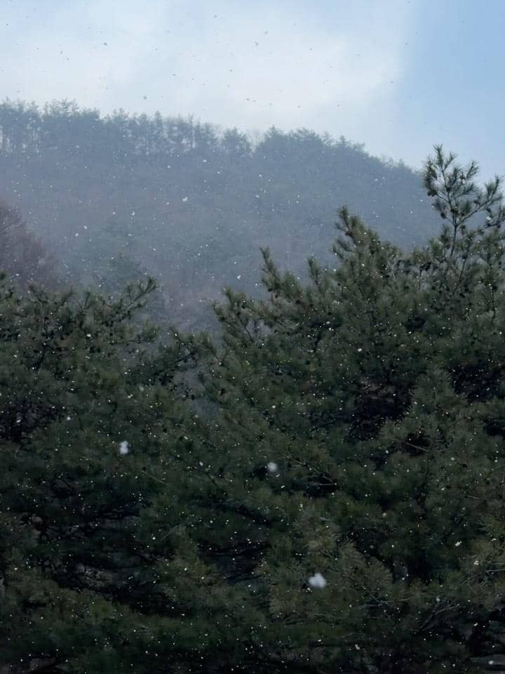 Tantri Namirah dan anak merasakan hujan salju di Korsel