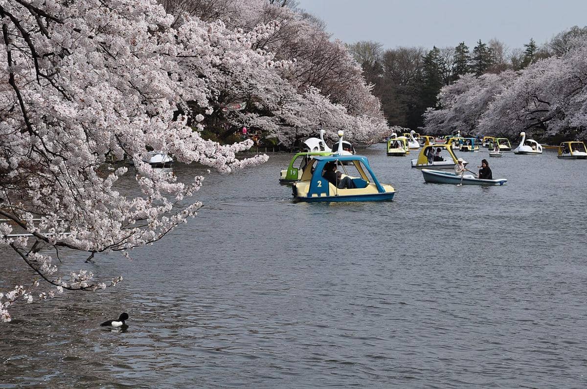 Taman Inokashira, Tokyo