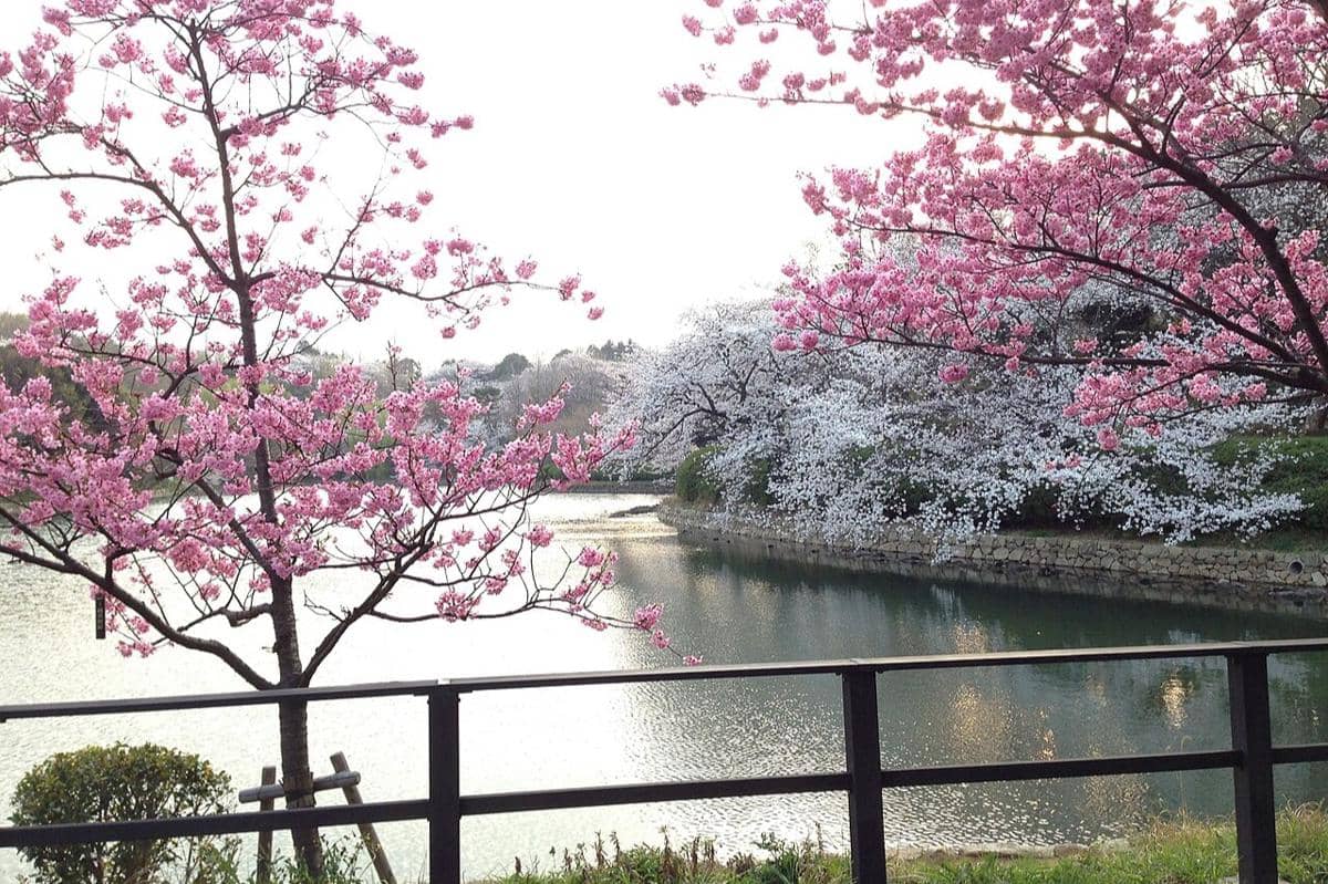 Taman Mitsuike, Kanagawa