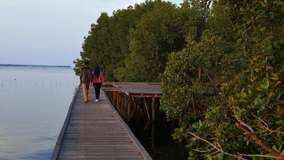 potret Taman Nasional Kutai