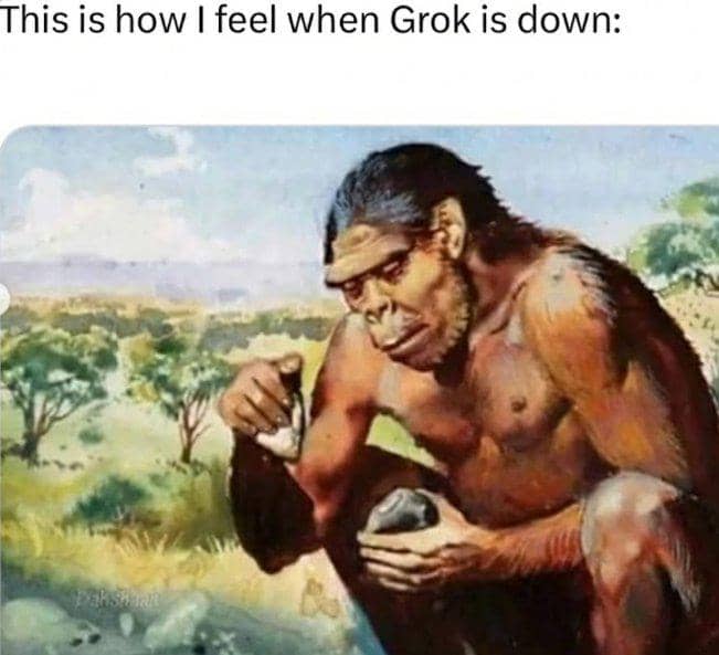 meme Grok