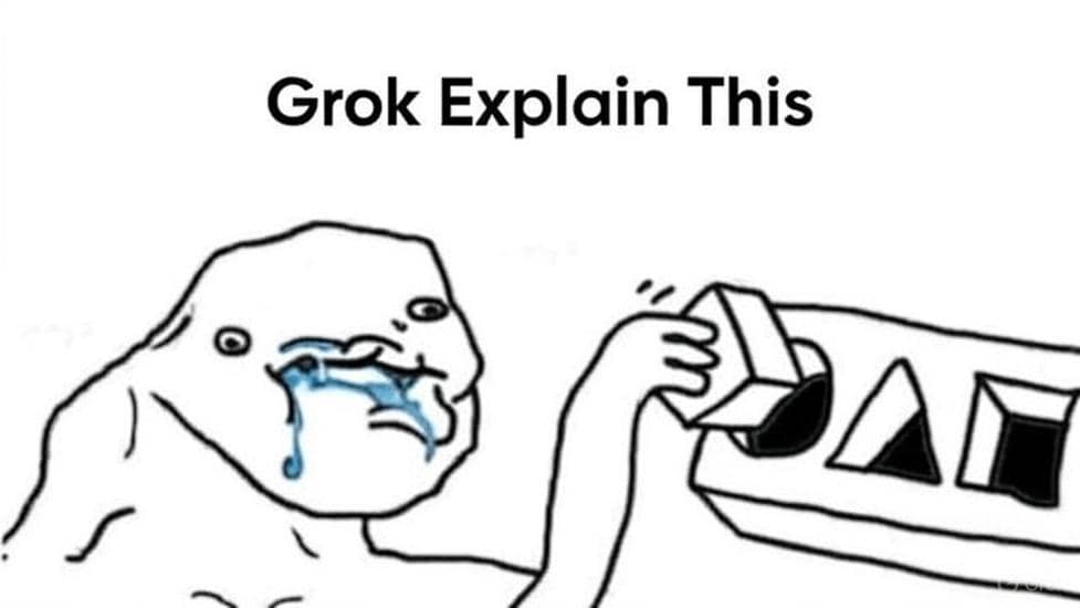 meme Grok