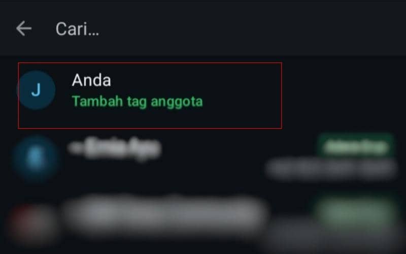 cara bikin nama julukan di Grup WhatsApp dengan Member Tags