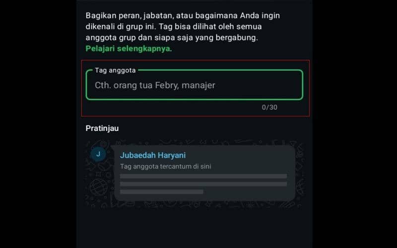 cara bikin nama julukan di Grup WhatsApp dengan Member Tags