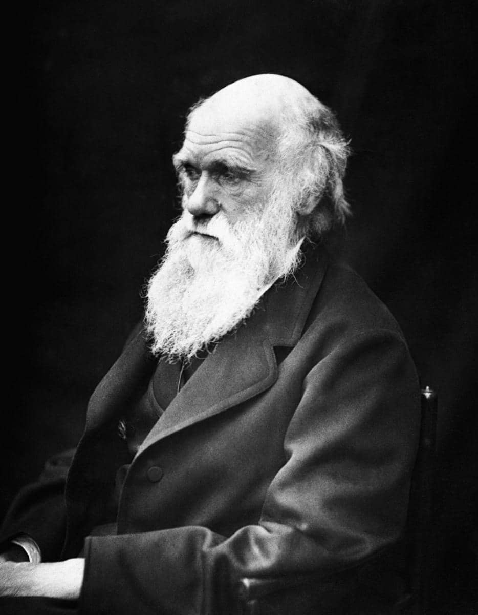 Charles Darwib