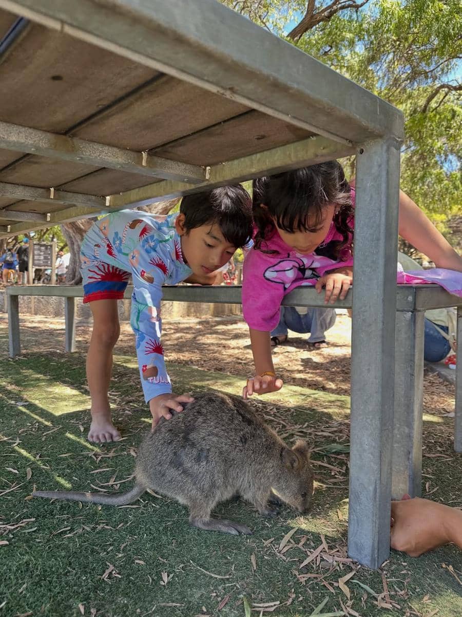 Keluarga Whulandary Herman main di Pulau Rottnest