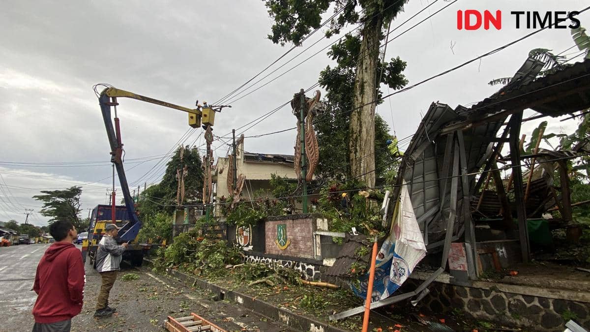 Perbaikan tiang listrik usai tertimpa pohon tumbang