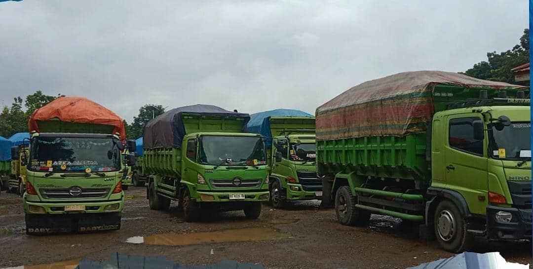 Beberapa truk batubara yang dikandangkan saat melintas di jalan umum.