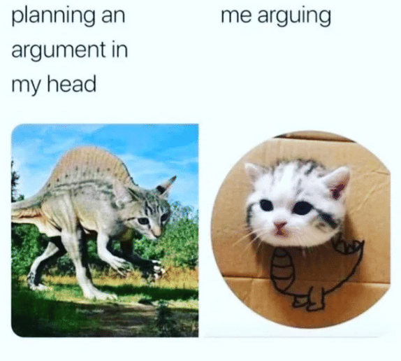 meme gak bisa ngelawan pas debat