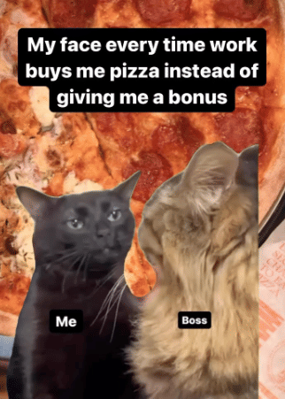 meme kucing tentang atasan di tempat kerja 