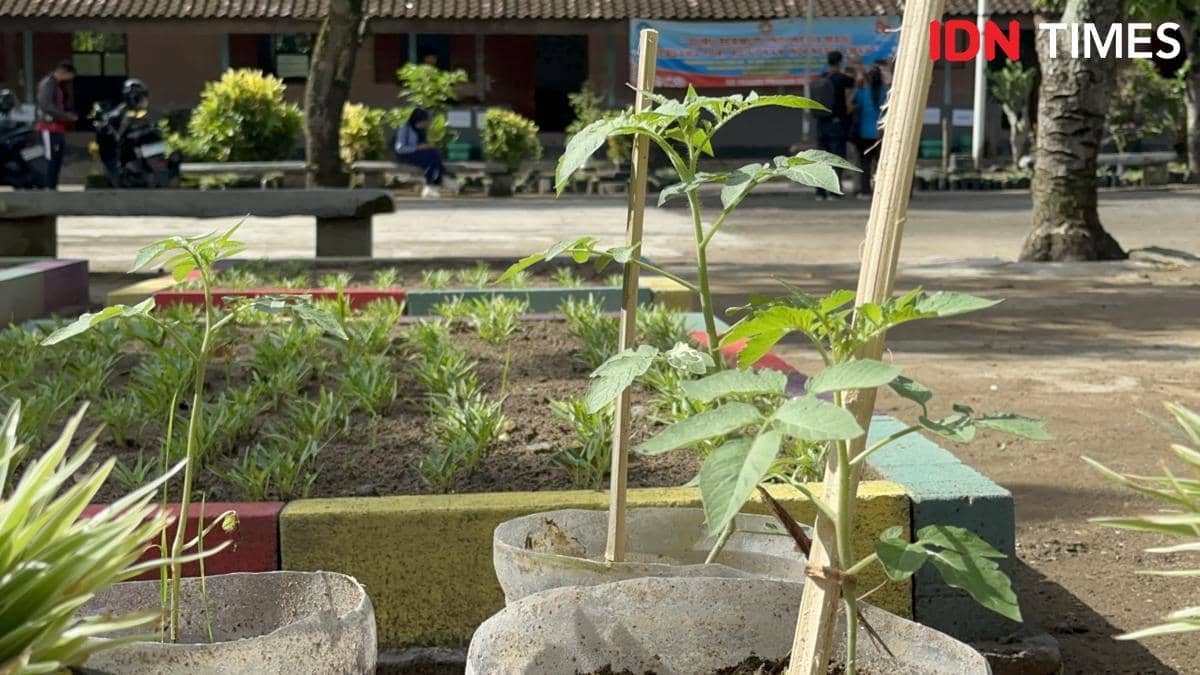 Tanaman yang ditaman oleh siswa siswi SD Pranan 1 Sukoharjo. (IDN Times/Larasati Rey)