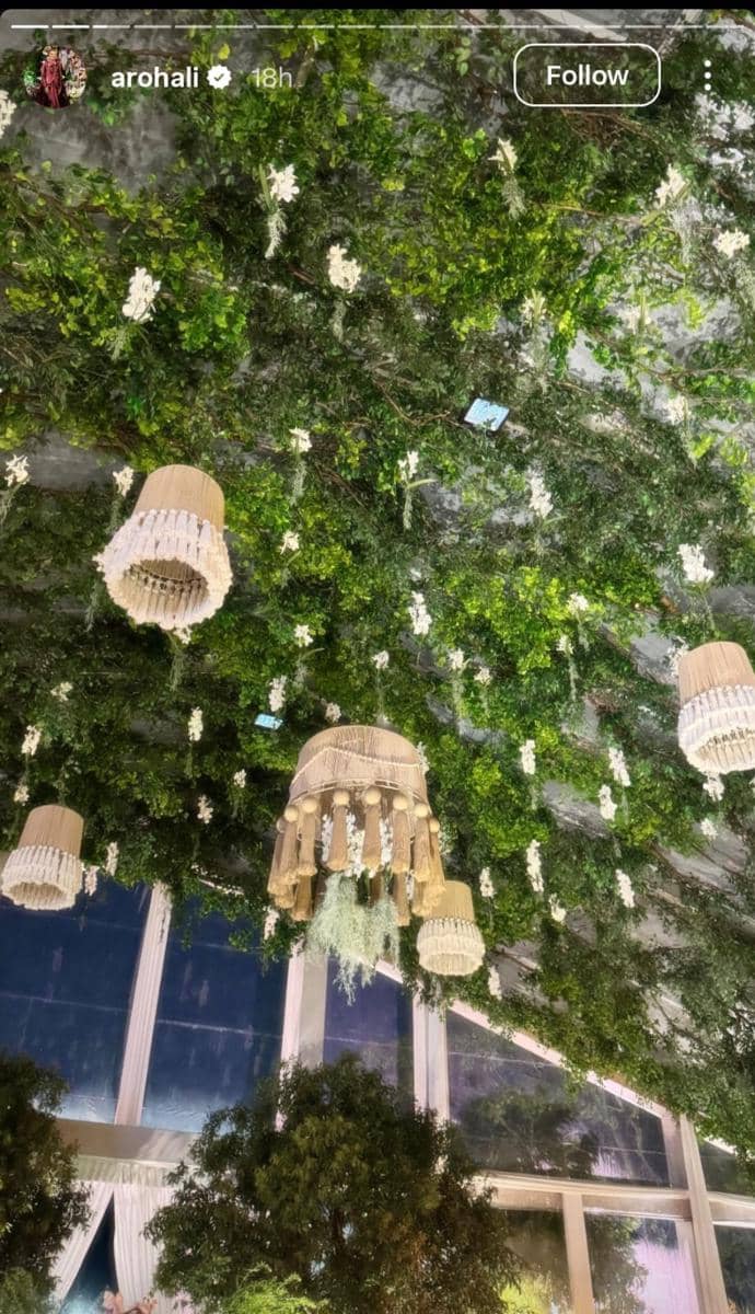 WhatsApp Image 2026-01-12 at 3.35.46 PM.jpeg