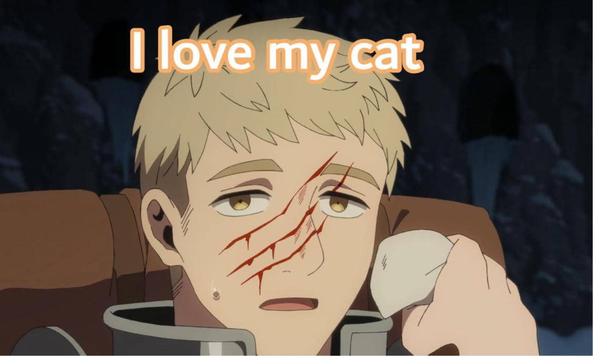 meme anime tentang nasib pemilik kucing