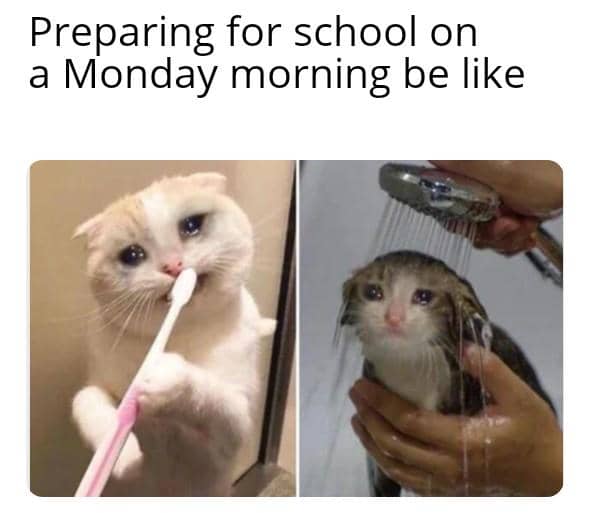 meme kocak tentang Senin pagi