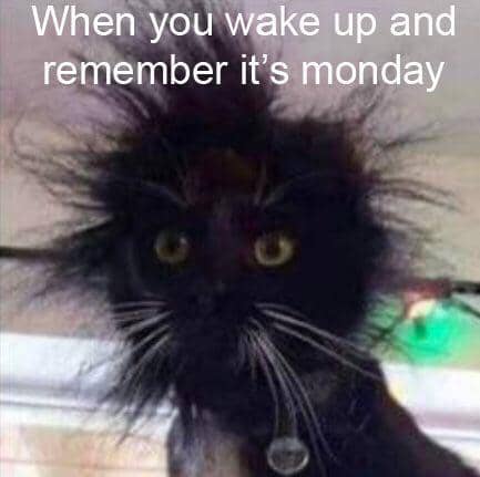 meme kocak tentang Senin pagi
