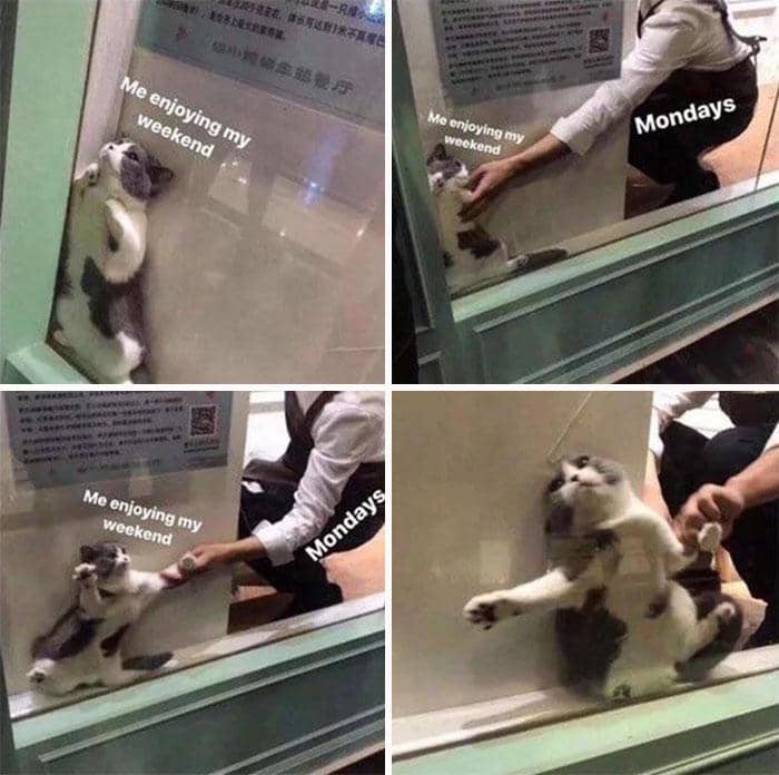 meme kocak tentang Senin pagi