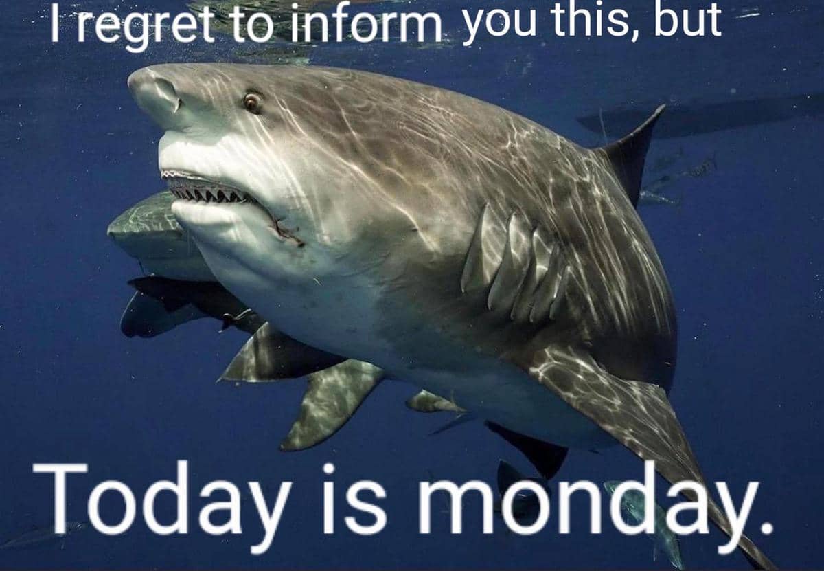 meme kocak tentang Senin pagi
