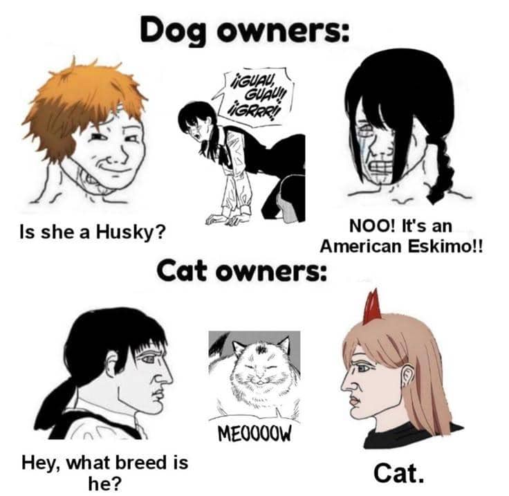 meme anime tentang nasib pemilik kucing