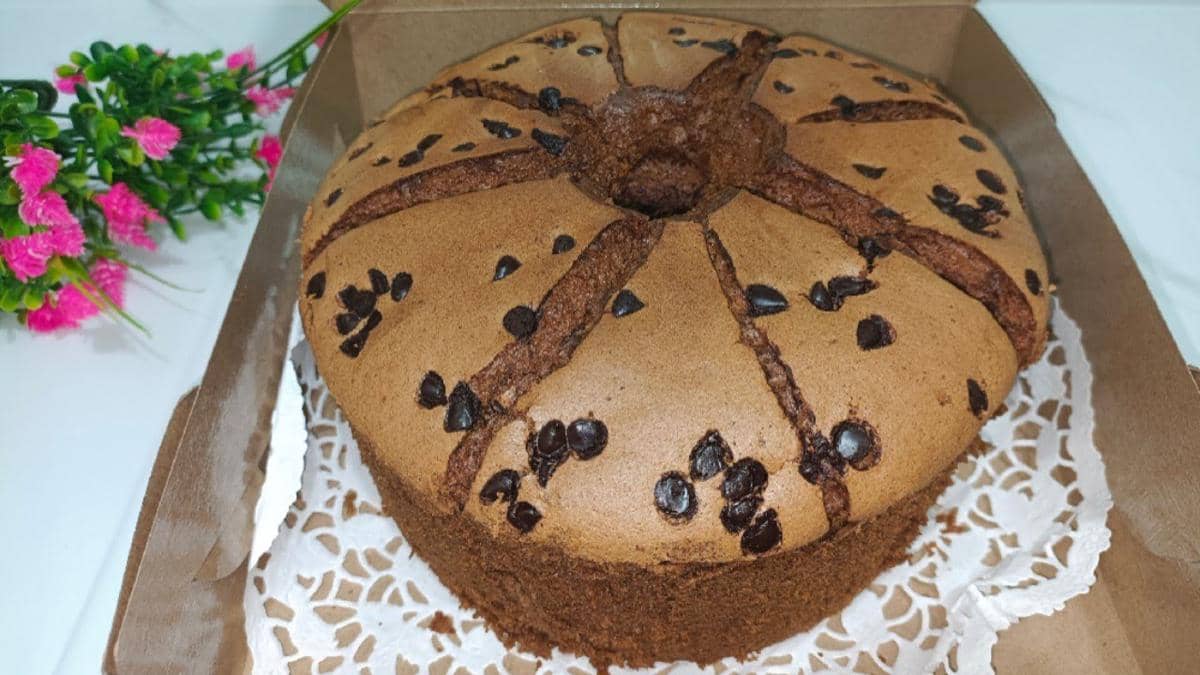 ilustrasi chiffon cake chocolate chip