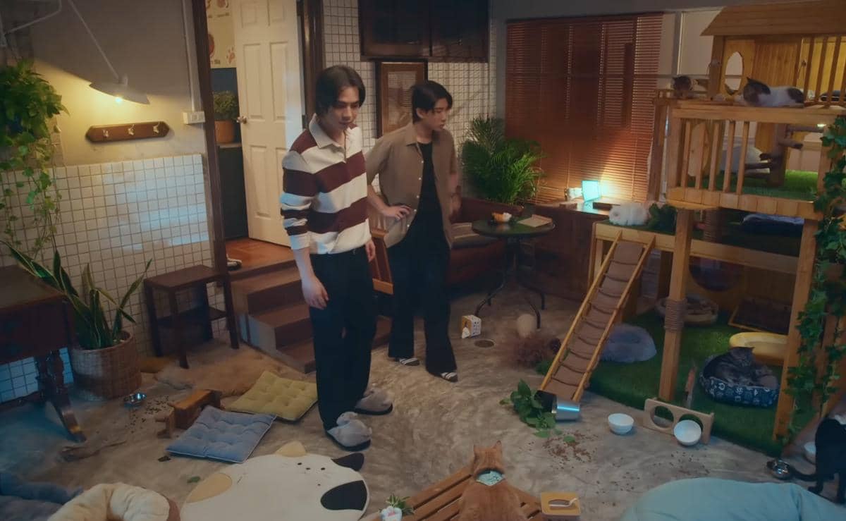 cuplikan drama Cat for Cash