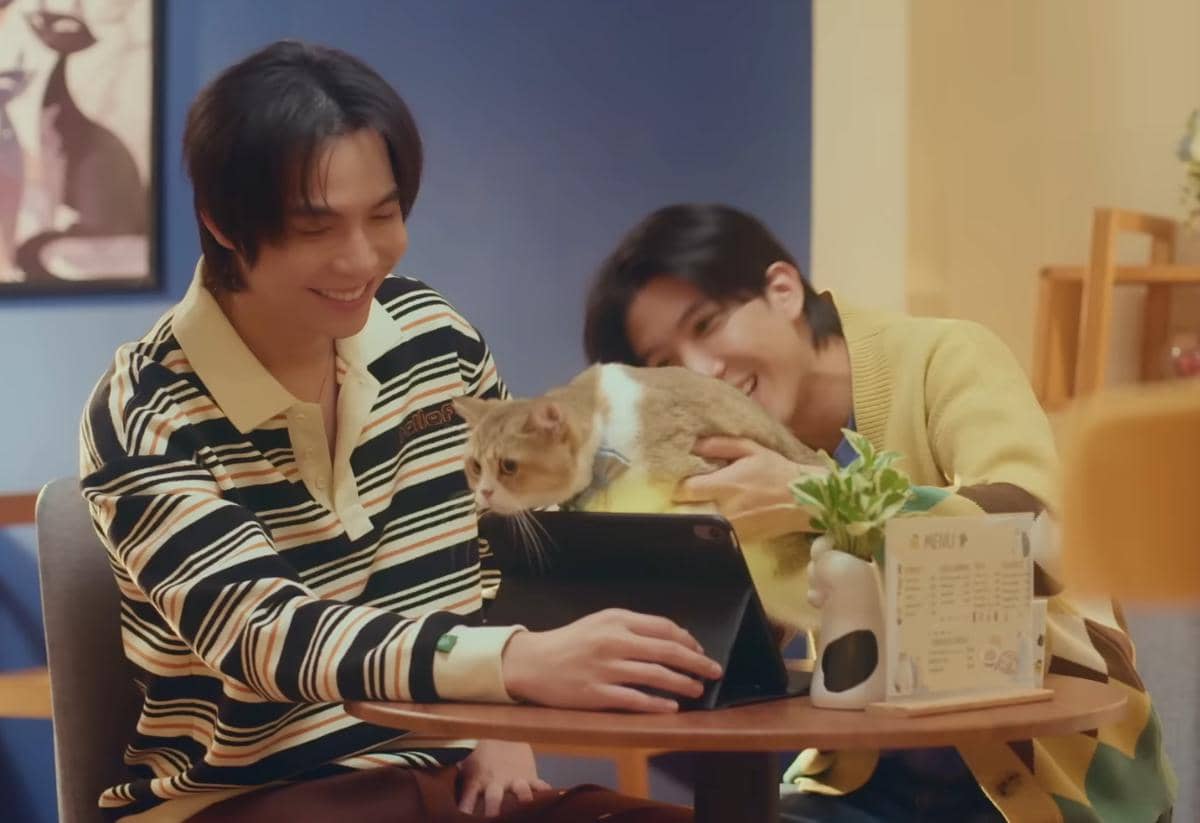 cuplikan drama Cat for Cash