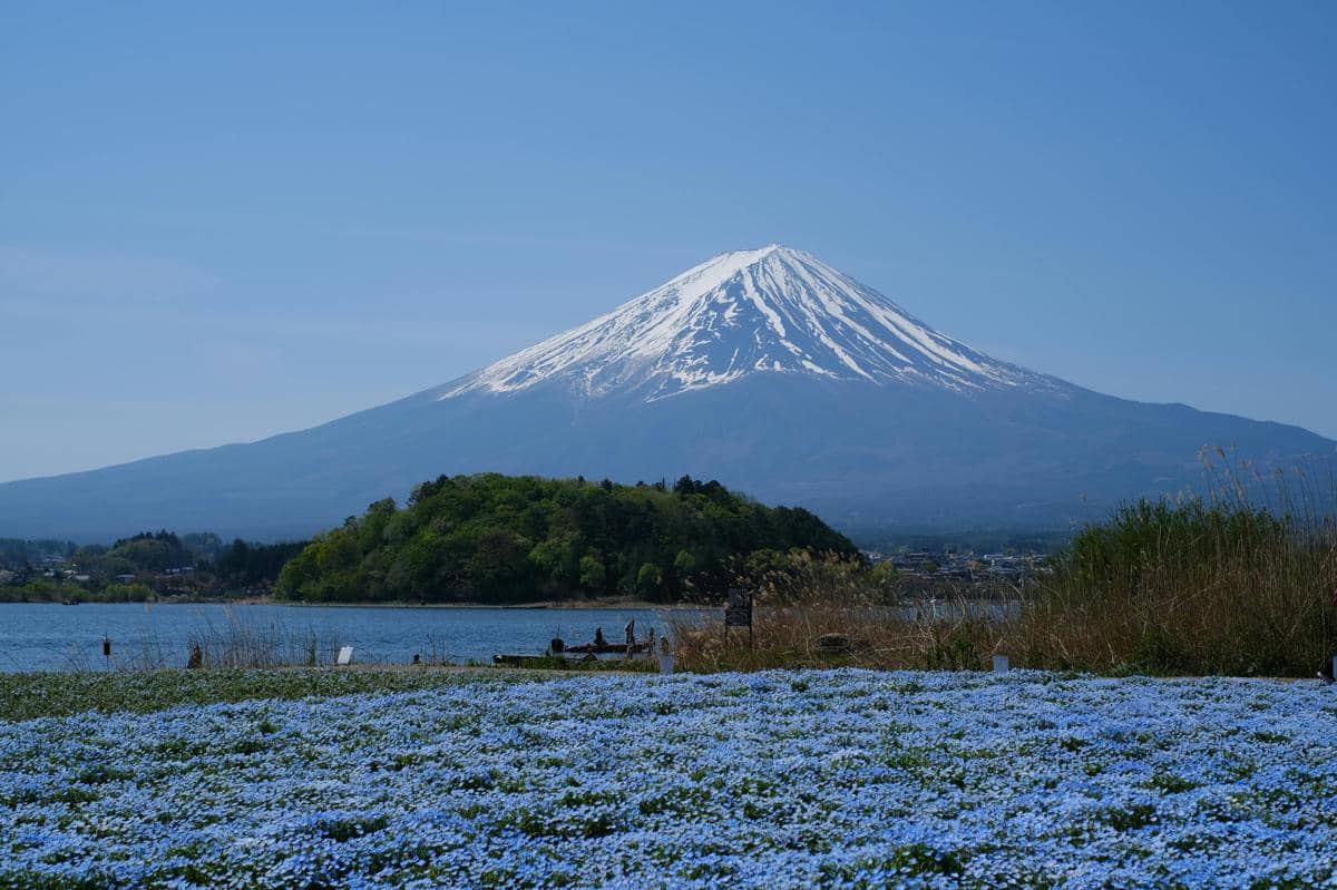ilustrasi Gunung Fuji 