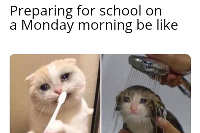 meme kocak tentang Senin pagi