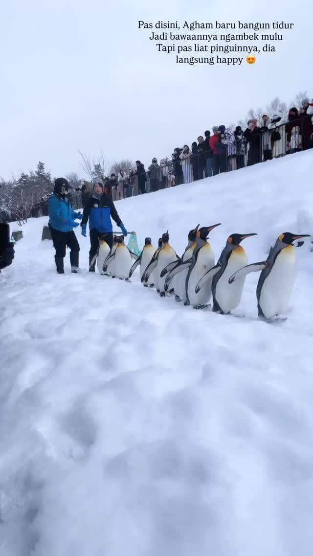 Via Vallen berwisata salju di Asahikawa