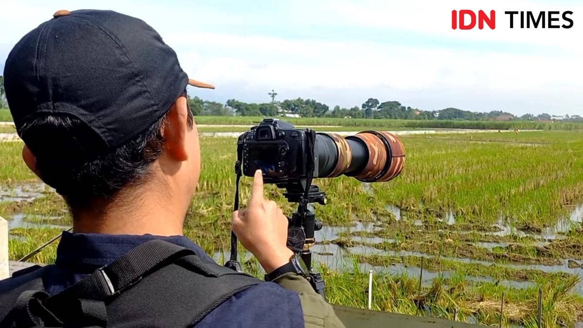 WhatsApp Image 2026-01-13 at 16.47.06.jpeg