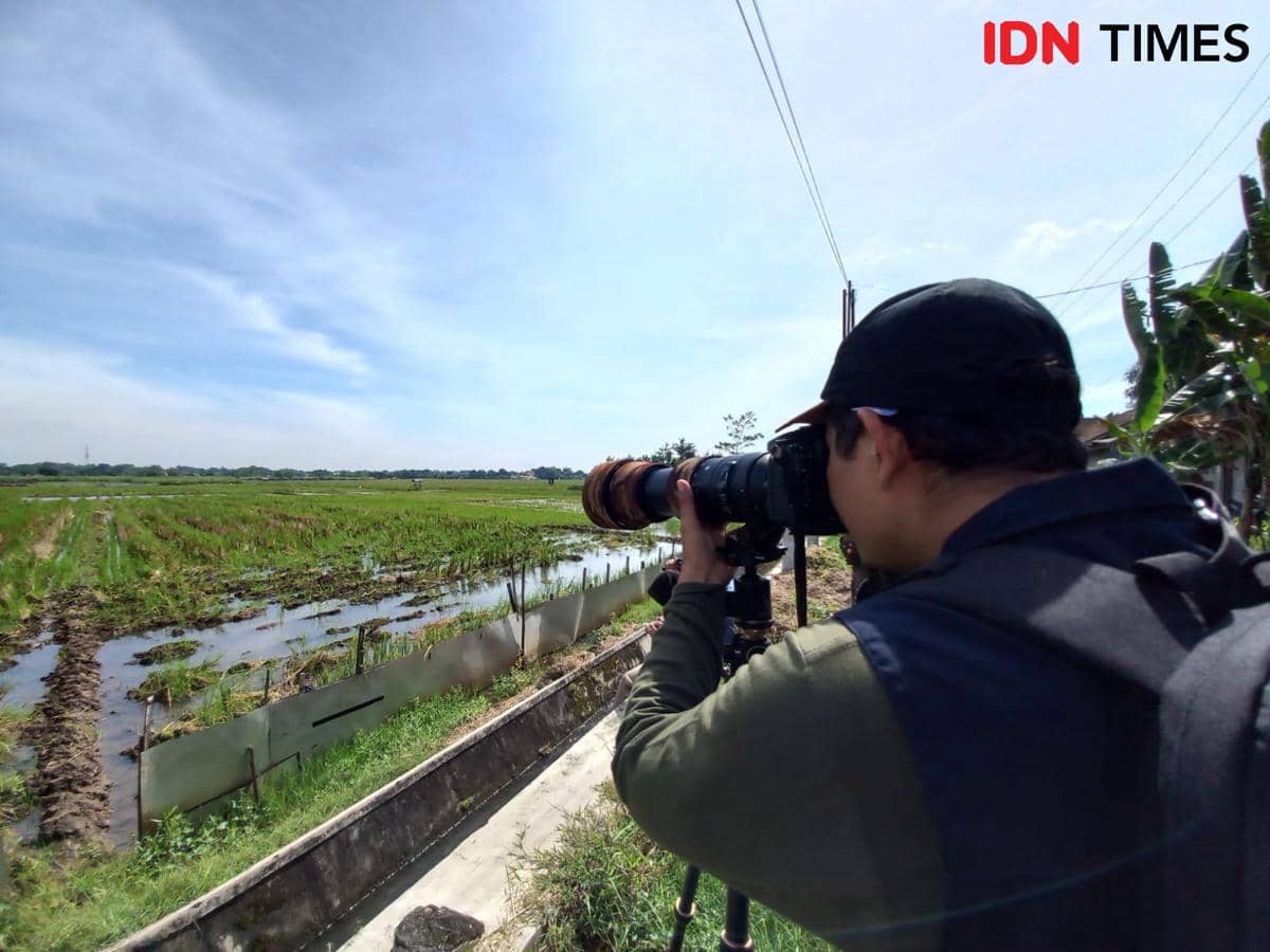 WhatsApp Image 2026-01-13 at 14.16.31.jpeg