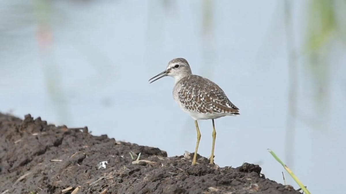 WhatsApp Image 2026-01-13 at 16.47.06 (1).jpeg