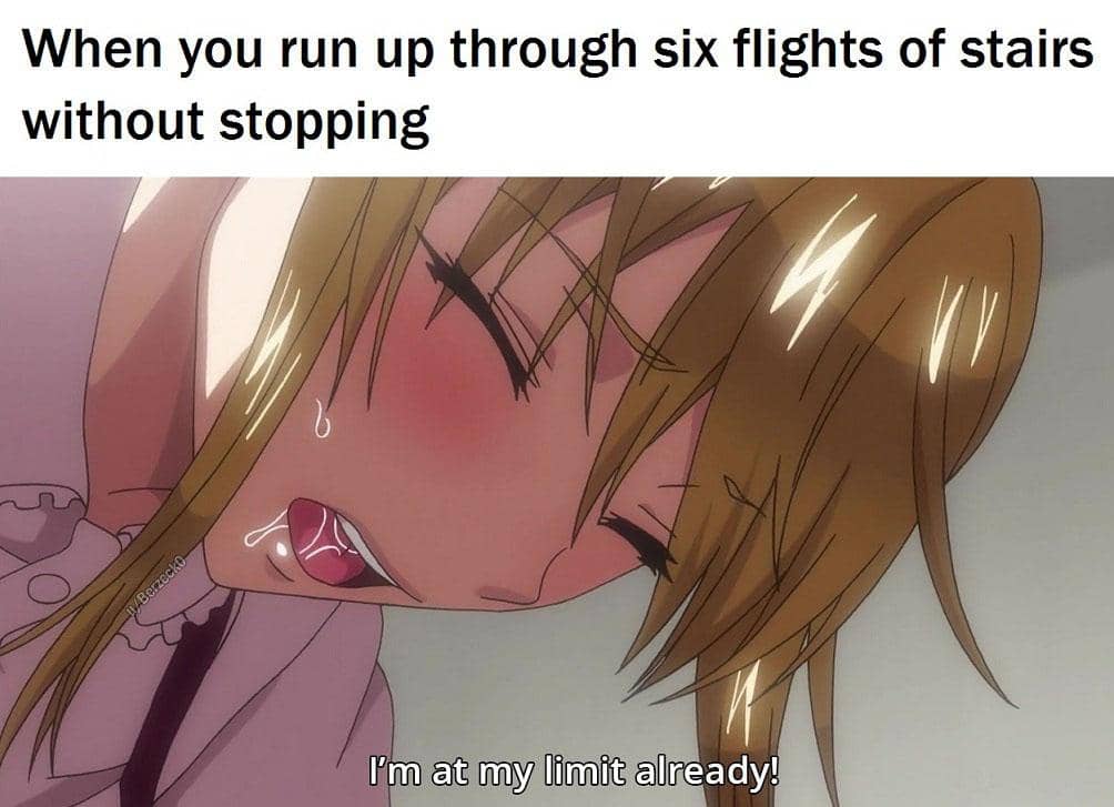 meme kartun tentang kardio