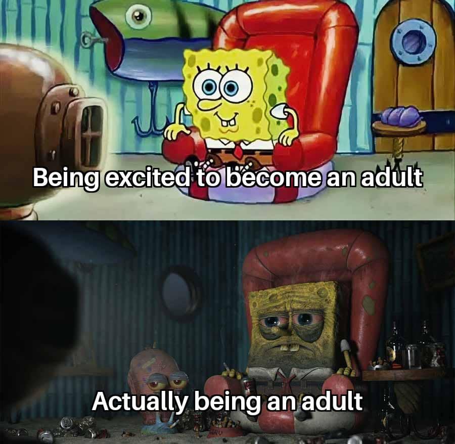 meme kartun tentang tumbuh dewasa