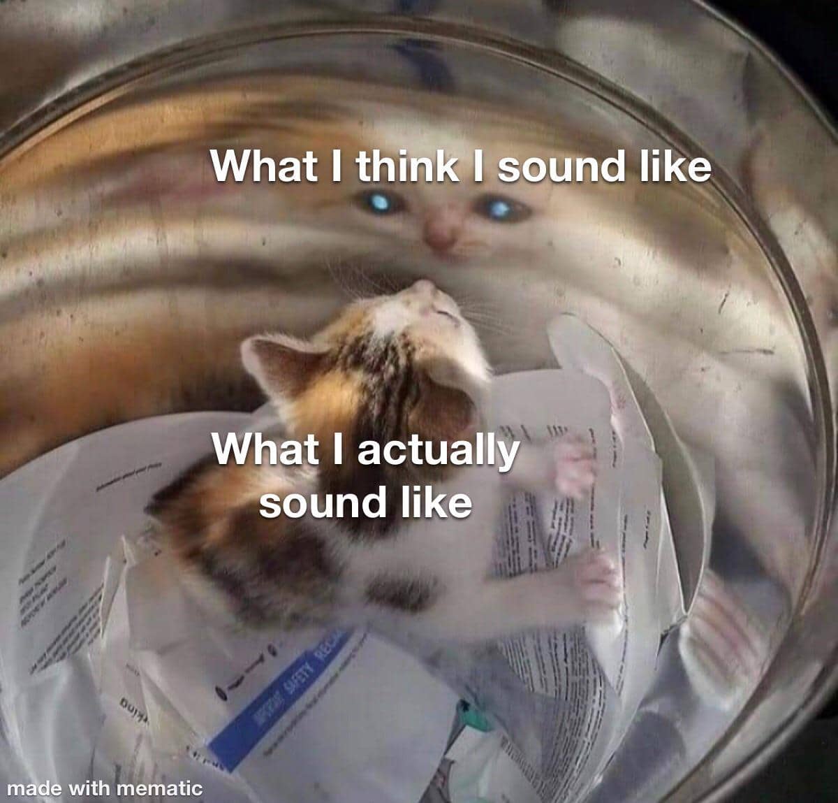 meme kucing berkaca diri