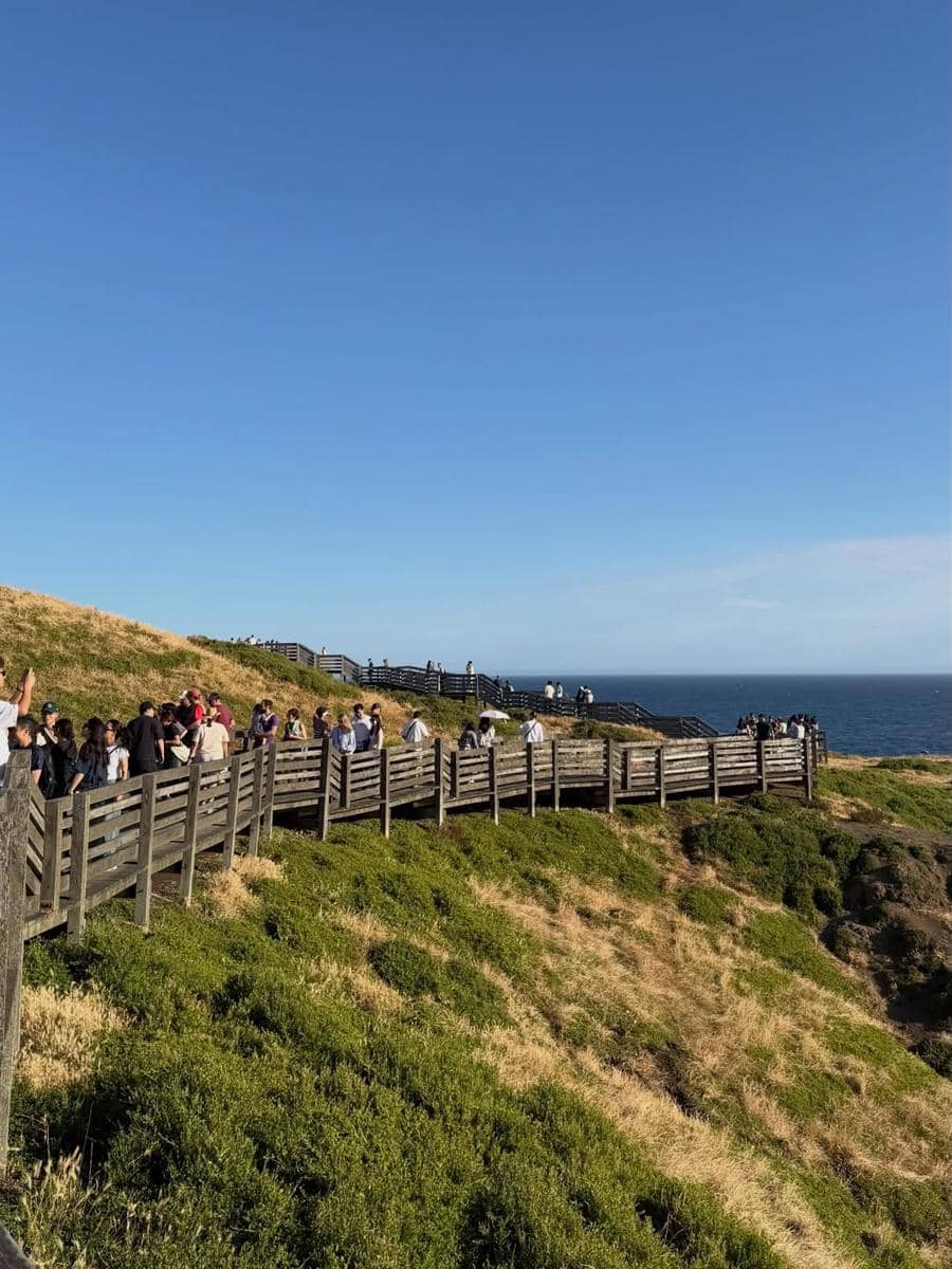 Febby Rastanty berwisata ke Phillip Island