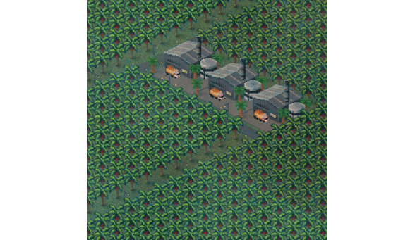 Palm Oil Tree Industry