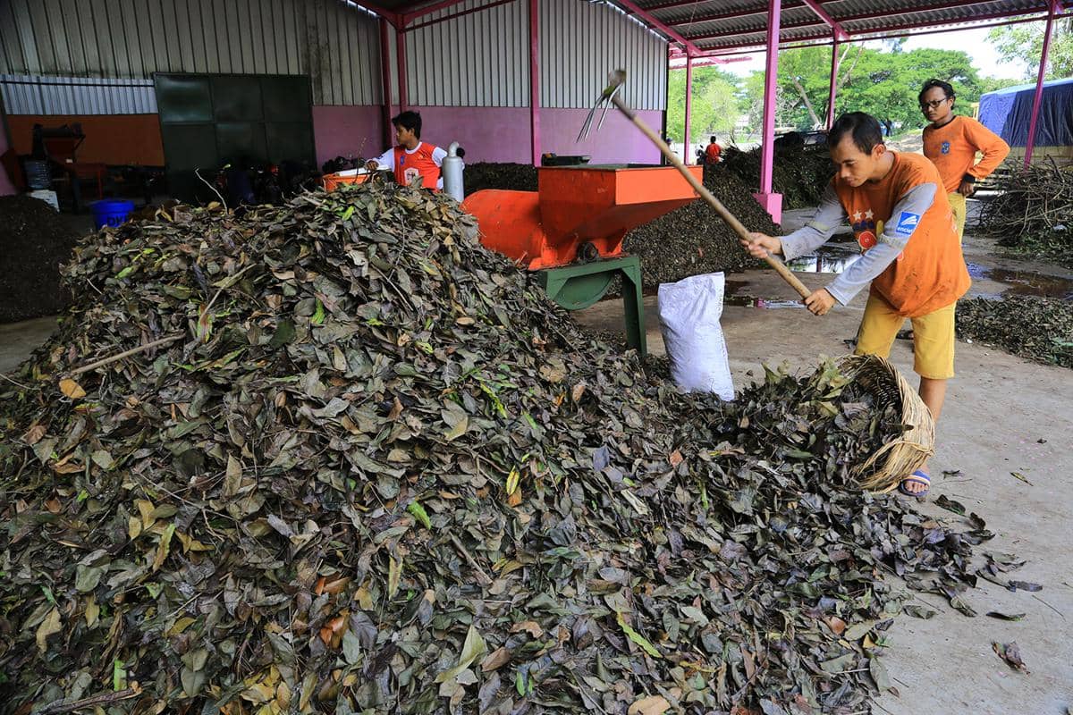 dok. RUmah Kompos Jambangan (1).jpg