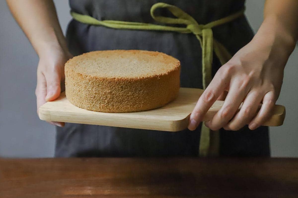 Potret sponge cake yang baru dikeluarkan dari oven