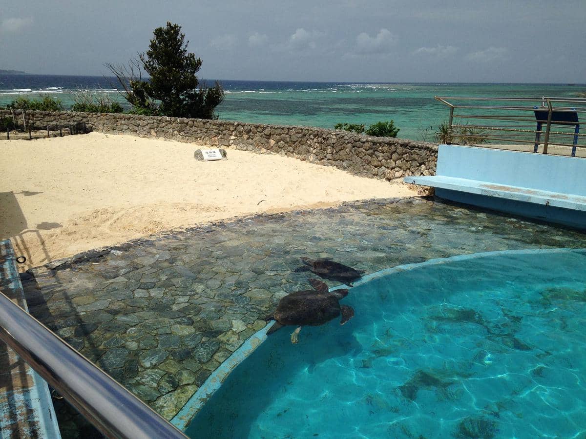 potret Okinawa Churaumi Aquarium