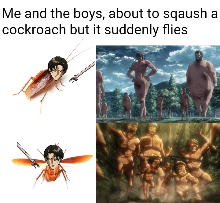 meme anime tentang kecoa